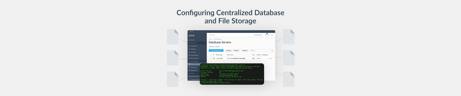 Centralized Database and File Storage Plesk blog